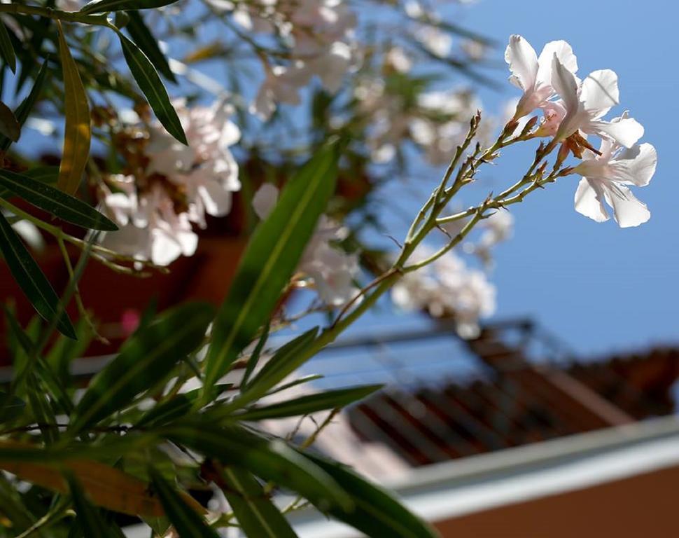 Vassilis Studio'S Perivólion Exterior foto